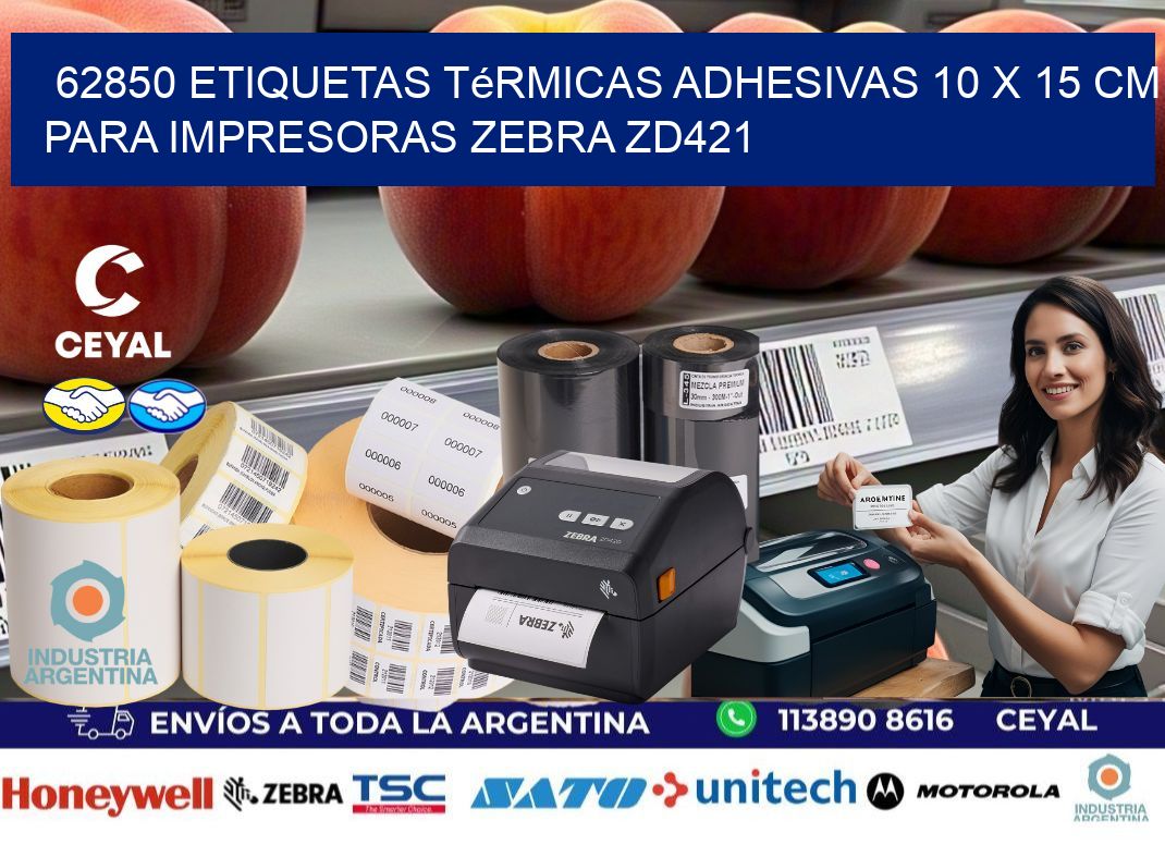 62850 Etiquetas Térmicas Adhesivas 10 x 15 cm para Impresoras Zebra ZD421