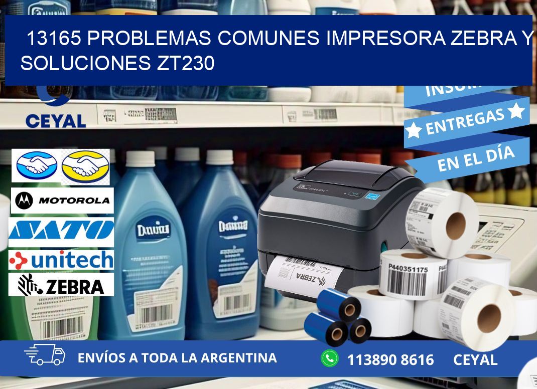 13165 problemas comunes impresora Zebra y soluciones ZT230