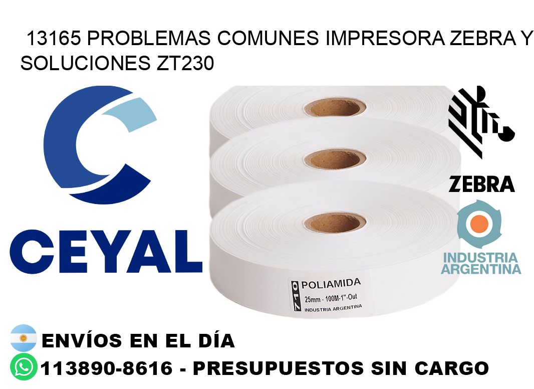 13165 problemas comunes impresora Zebra y soluciones ZT230