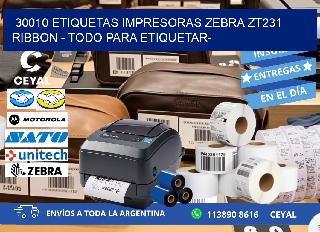 30010 etiquetas impresoras zebra zt231 ribbon - Todo para Etiquetar-