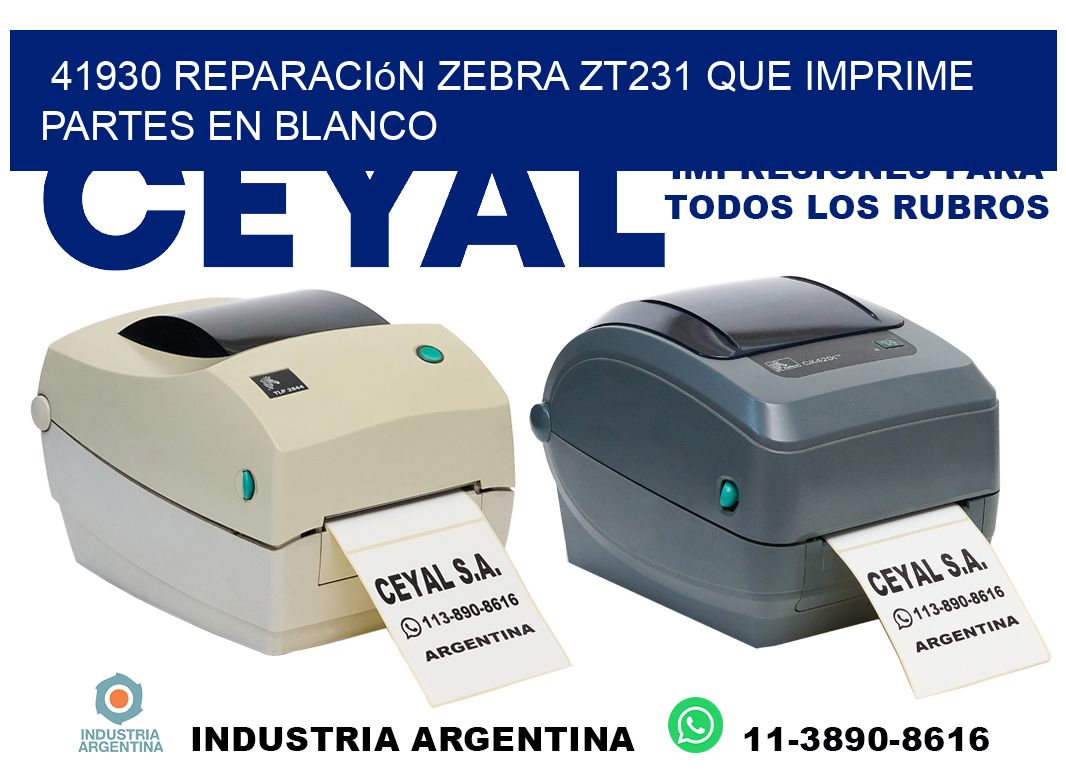 41930 reparación zebra zt231 que imprime partes en blanco