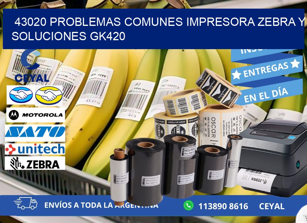 43020 problemas comunes impresora Zebra y soluciones GK420