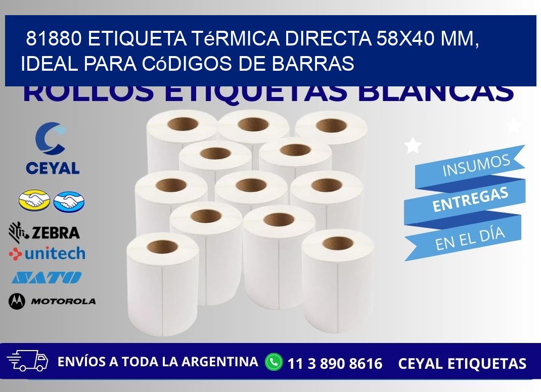 81880 Etiqueta Térmica Directa 58x40 mm, ideal para códigos de barras