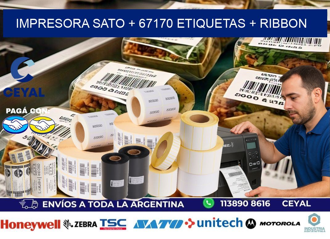 impresora SATO + 67170 etiquetas + ribbon