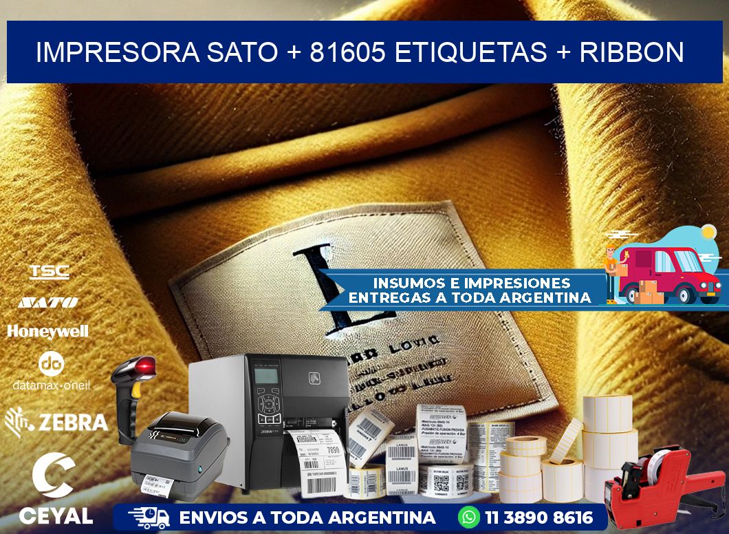 impresora SATO + 81605 etiquetas + ribbon