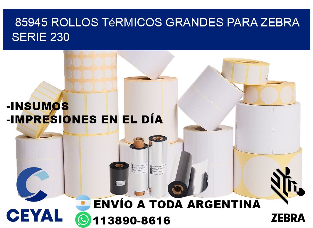 85945 rollos térmicos grandes para zebra serie 230