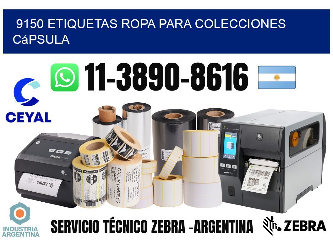 9150 Etiquetas ropa para colecciones cápsula