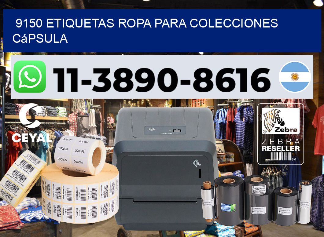 9150 Etiquetas ropa para colecciones cápsula