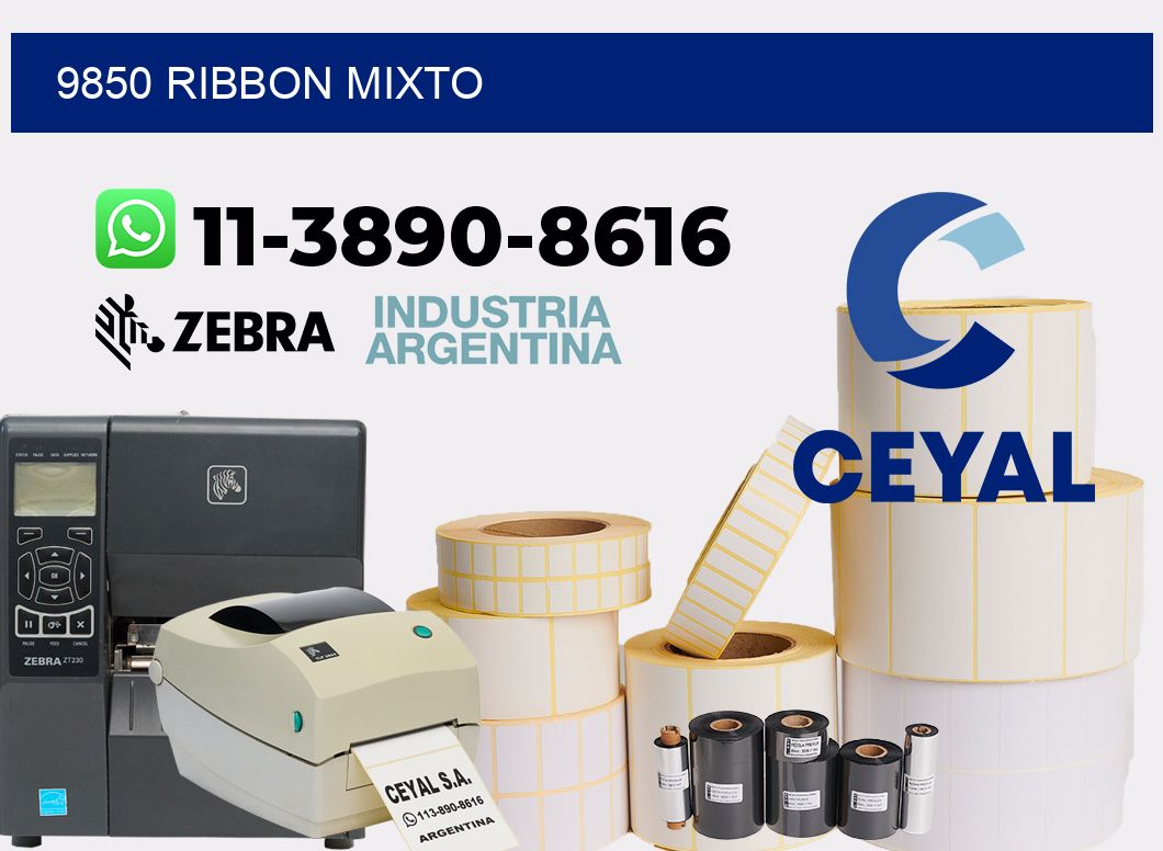 9850 ribbon mixto