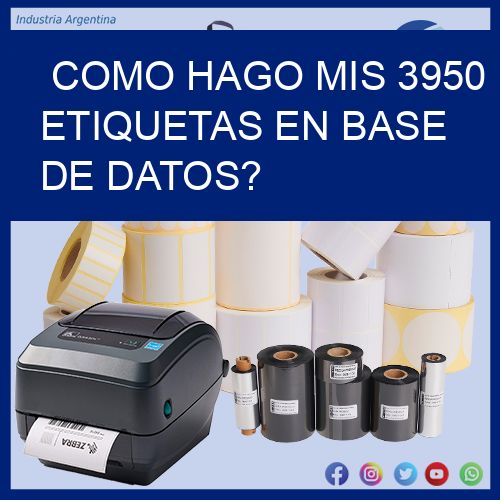 como hago mis 3950 etiquetas en base de datos?