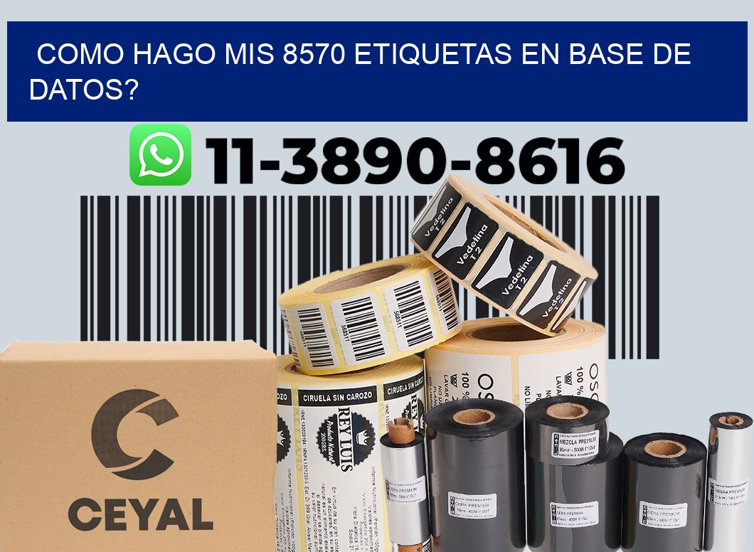 como hago mis 8570 etiquetas en base de datos?