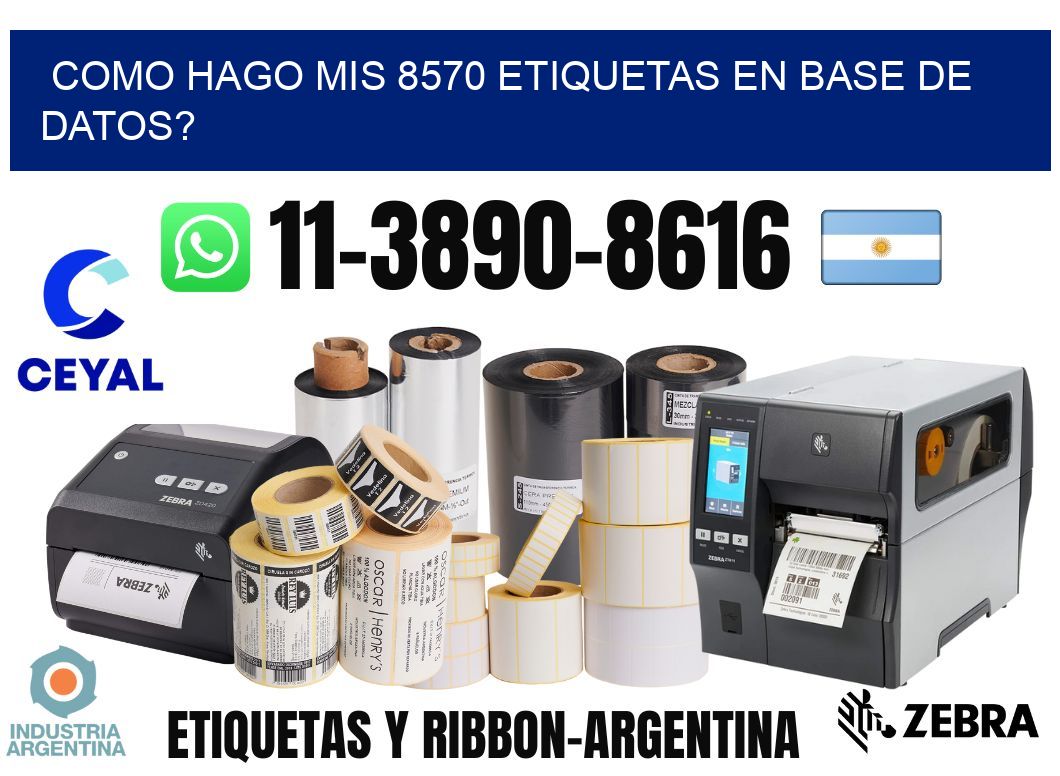 como hago mis 8570 etiquetas en base de datos?