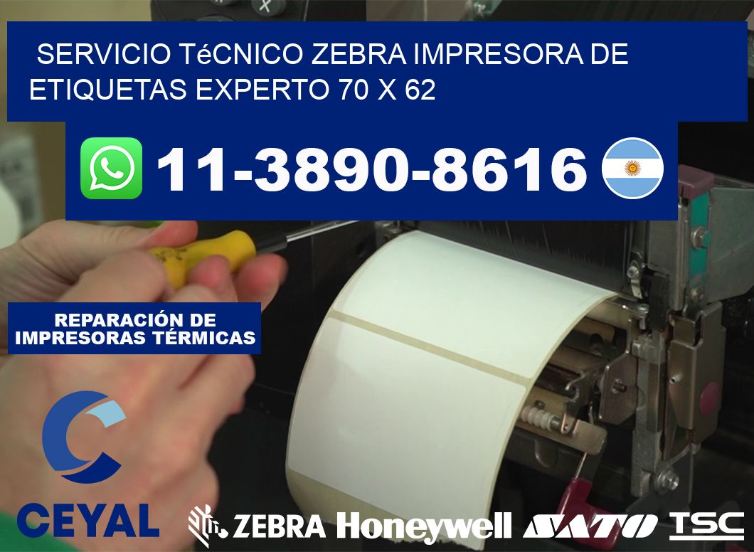 Servicio Técnico Zebra Impresora de Etiquetas Experto 70 x 62