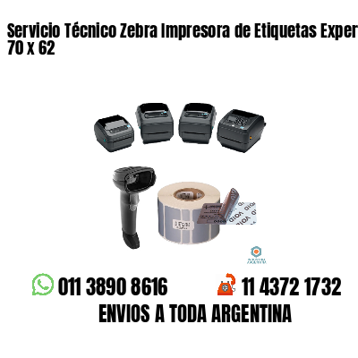 Servicio Técnico Zebra Impresora de Etiquetas Experto 70 x 62