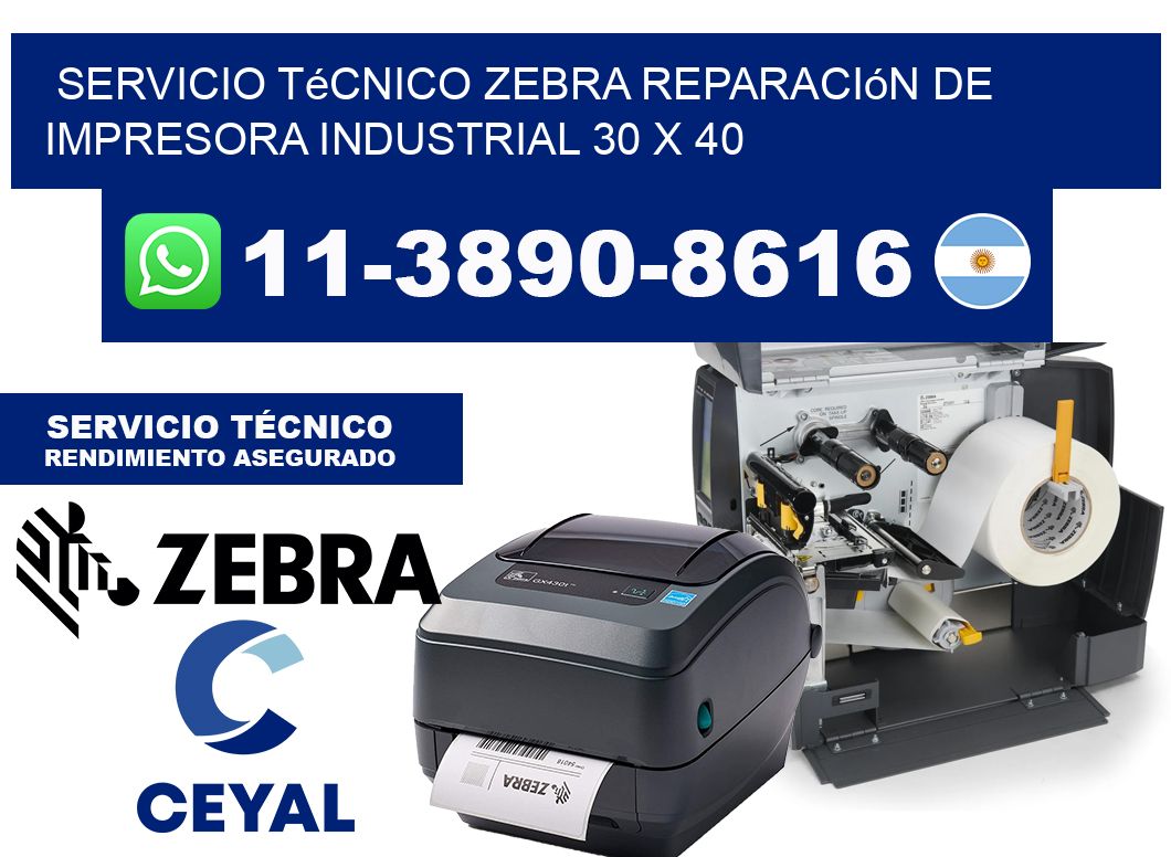 Servicio Técnico Zebra Reparación de Impresora Industrial 30 x 40
