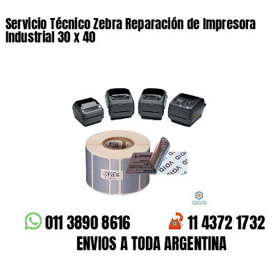 Servicio Técnico Zebra Reparación de Impresora Industrial 30 x 40