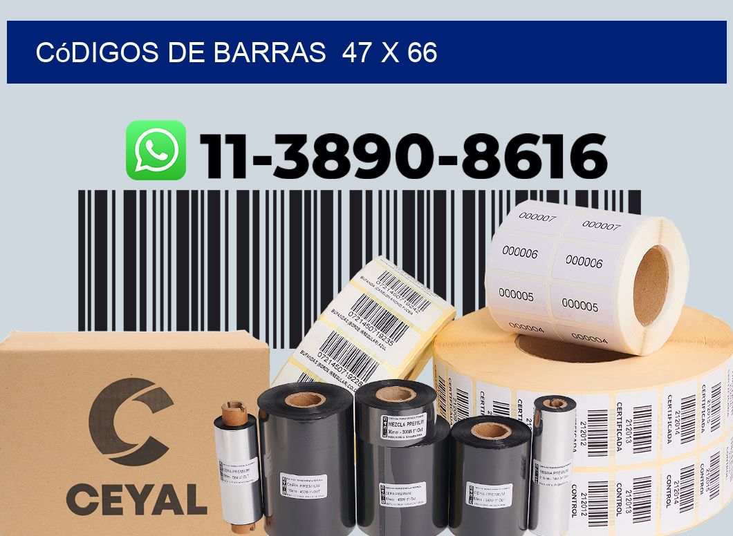 códigos de barras  47 x 66