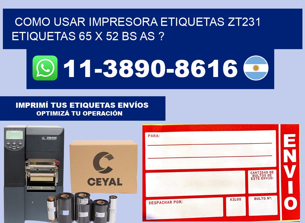 como usar impresora etiquetas zt231 etiquetas 65 x 52 BS AS ?
