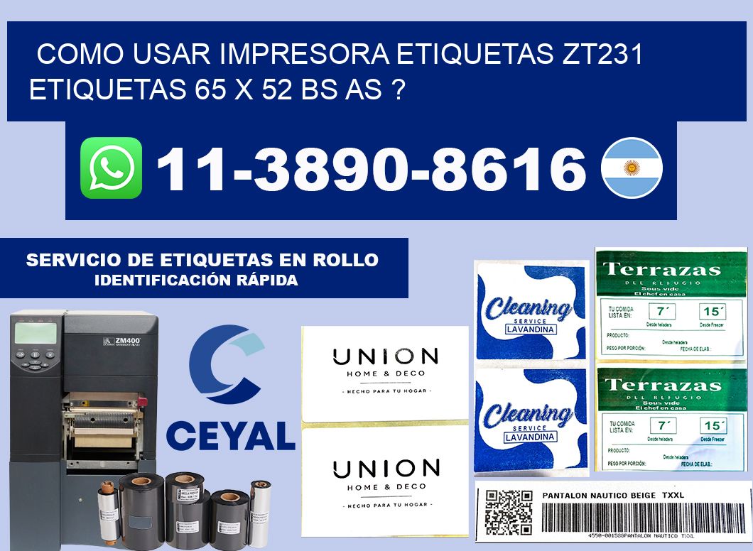 como usar impresora etiquetas zt231 etiquetas 65 x 52 BS AS ?