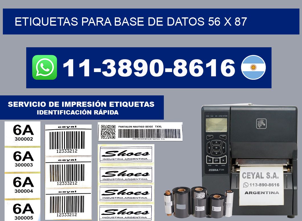 etiquetas para base de datos 56 x 87