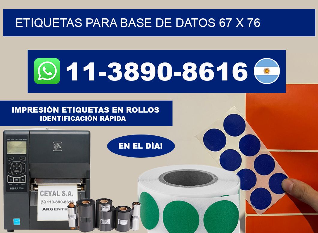 etiquetas para base de datos 67 x 76