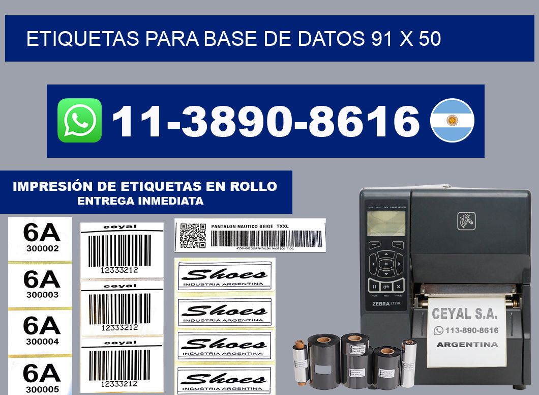 etiquetas para base de datos 91 x 50