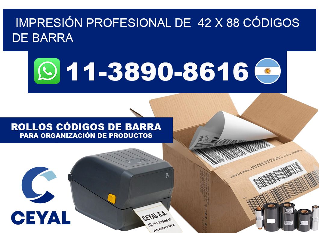 IMPRESIÓN PROFESIONAL DE  42 x 88 CÓDIGOS DE BARRA