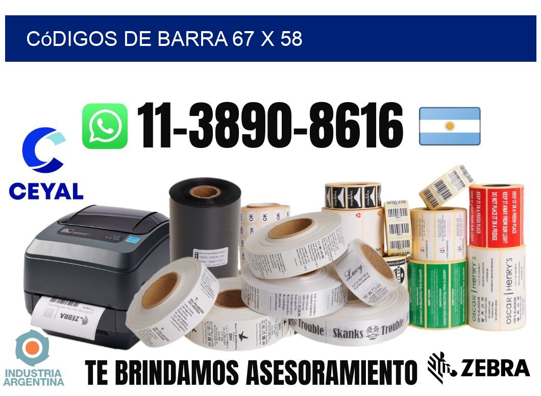 códigos de barra 67 x 58